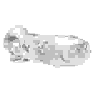 Realistic Clear Penis Enhancer and Ball Stretcher