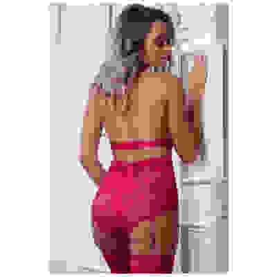 2 Pc. Plunging Teddy With Zipper Open Crotch and  Stockings - Berry Kiss - One Size