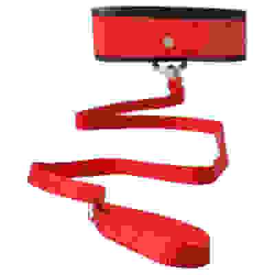 Sex and Mischief Leash and Collar - Red