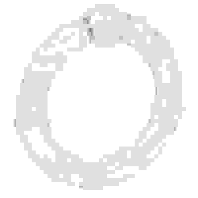 Island Rings - Clear