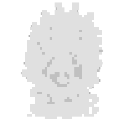 Dr. Joel Kaplan - Adjustable Extension With Added Grith - Clear